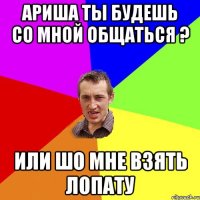 Ариша ты будешь со мной общаться ? или шо мне взять лопату