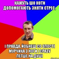 кажуть шо коти допомогають зняти стрес, і правда, йобнеш со злості мурчика з ноги і сразу легше на душі