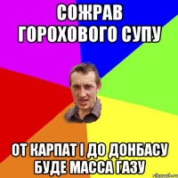 СОЖРАВ ГОРОХОВОГО СУПУ ОТ КАРПАТ І ДО ДОНБАСУ БУДЕ МАССА ГАЗУ