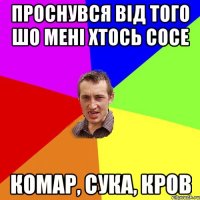 проснувся від того шо мені хтось сосе комар, сука, кров