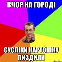 Вчор на городі Сусліки картошку пиздили