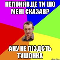 Непоняв,це ти шо мені сказав? Ану не піздєть тушонка