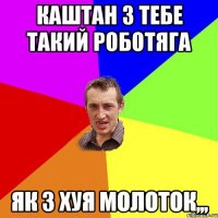 КАШТАН З ТЕБЕ ТАКИЙ РОБОТЯГА ЯК З ХУЯ МОЛОТОК,,,