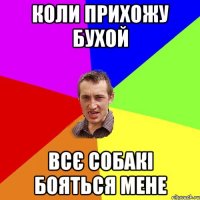 Коли прихожу бухой Всє собакі бояться мене