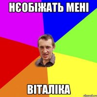 Нєобіжать мені Віталіка