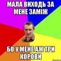МАЛА ВИХОДЬ ЗА МЕНЕ ЗАМІЖ БО У МЕНЕ АЖ ТРИ КОРОВИ