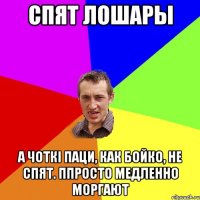 Спят лошары А чоткі паци, как Бойко, не спят. Ппросто медленно моргают