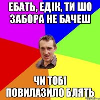 ебать, Едік, ти шо забора не бачеш чи тобі повилазило блять
