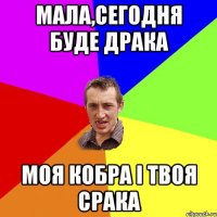 Мала,сегодня буде драка Моя кобра і твоя срака