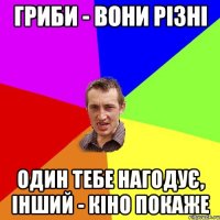 Гриби - вони різні Один тебе нагодує, інший - кіно покаже