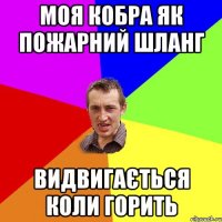 моя кобра як пожарний шланг видвигається коли горить