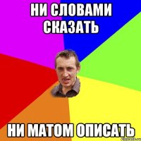 НИ СЛОВАМИ СКАЗАТЬ НИ МАТОМ ОПИСАТЬ