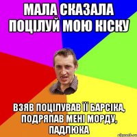 мала сказала поцілуй мою кіску взяв поцілував її барсіка, подряпав мені морду, падлюка