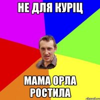 Не для куріц мама орла ростила