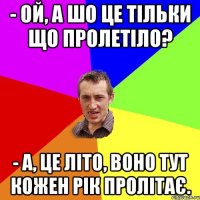 - Ой, а шо це тільки що пролетіло? - а, це літо, воно тут кожен рік пролітає.