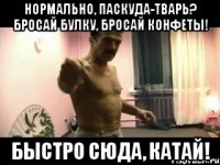 нормально, паскуда-тварь? бросай булку, бросай конфеты! быстро сюда, катай!