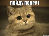 Пойду Посру ! 