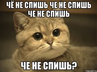 чё не спишь че не спишь че не спишь че не спишь?