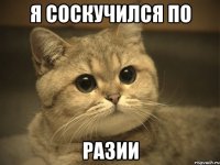 я соскучился по Разии