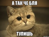А так че бля Тупишь