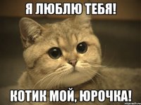 Я люблю тебя! Котик мой, Юрочка!