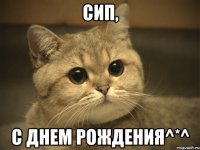 Сип, с днем рождения^*^