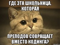 Где эта школьница, которая Преподов совращает вместо кодинга?