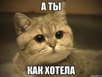 А ты как хотела