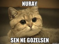 nuray sen ne gozelsen