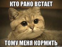 Кто рано встает Тому меня кормить