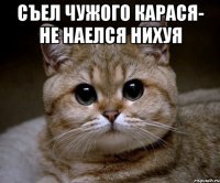 съел чужого карася- не наелся нихуя 