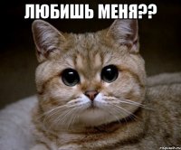 Любишь меня?? 