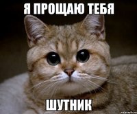 Я прощаю тебя Шутник