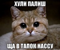 хули палиш ща в тапок нассу