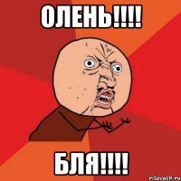 Олень!!!! Бля!!!!