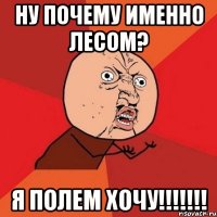 ну почему именно лесом? я полем хочу!!!!!!!