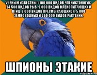 Учёным известны 1 100 000 видов членистоногих, 24 500 видов рыб, 9 000 видов млекопитающих и птиц, 8 000 видов пресмыкающихся, 5 000 земноводных и 260 000 видов растений. шпионы этакие