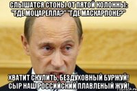 Слышатся стоны От пятой колонны: "Где моцарелла?" "Где маскарпоне?" Хватит скулить, Бездуховный буржуй! Сыр наш российский Плавленый жуй!