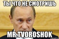 ты что не смотришь Mr.Tvoroshok