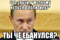 что значит "мелкому нельзя в политику?" ты че ебанулся?