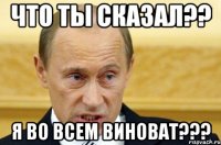 Что ты сказал?? Я во всем виноват???