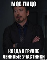 Мое лицо когда в группе ленивые участники