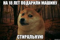 на 18 лет подарили машину стиральную