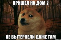 пришел на дом 2 не вытерпели даже там