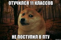 Отучился 11 классов не поступил в пту