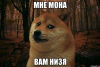 Мне мона вам низя