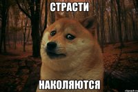 страсти наколяются