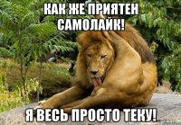 Как же приятен самолайк! Я весь просто теку!