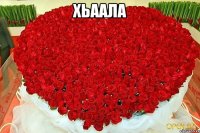 Хьаала 