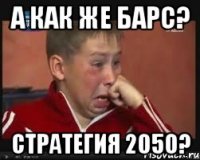 А как же барс? Стратегия 2050?